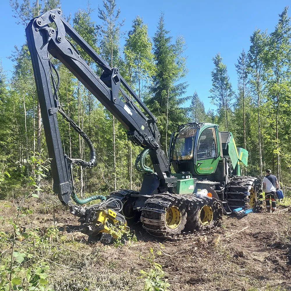 Metsänhakkuu